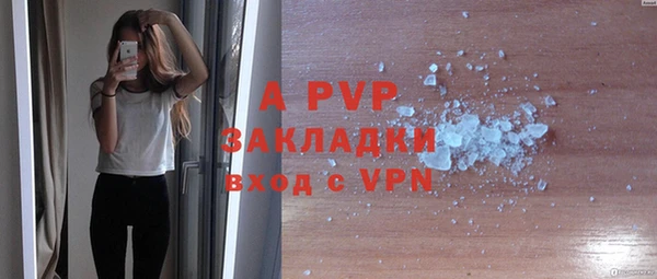 ПСИЛОЦИБИНОВЫЕ ГРИБЫ Дмитров