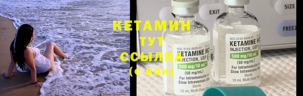 крисы Дмитриев