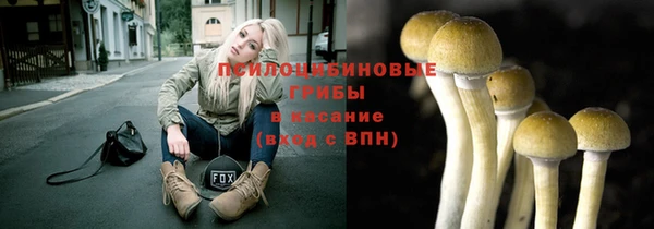 крисы Дмитриев