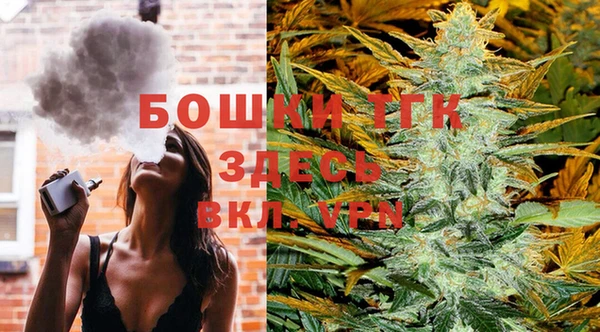 ПСИЛОЦИБИНОВЫЕ ГРИБЫ Дмитров
