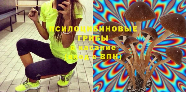ПСИЛОЦИБИНОВЫЕ ГРИБЫ Дмитров