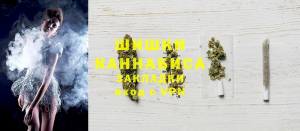 ПСИЛОЦИБИНОВЫЕ ГРИБЫ Дмитров